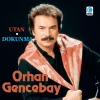 Orhan Gencebay - Utan Dokunma (Plak)