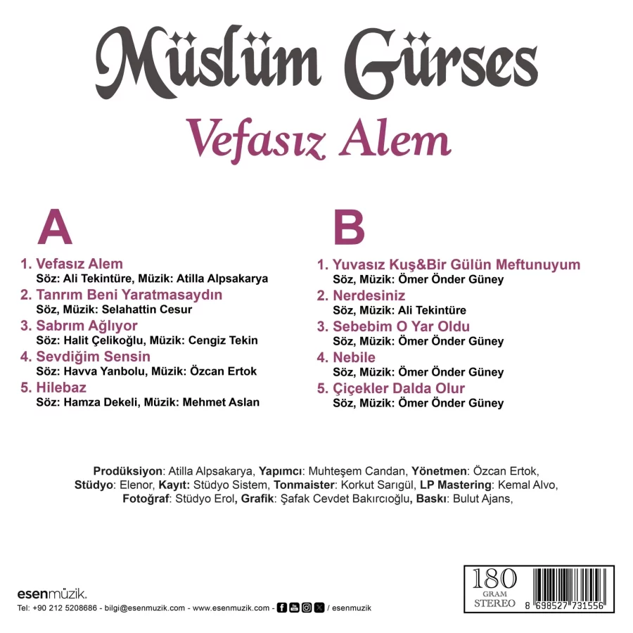 Müslüm Gürses - Vefasız Alem (Plak) - Görsel 2