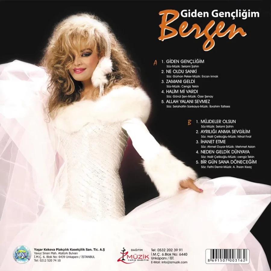 Bergen - Giden Gençliğim (Plak) - Görsel 2