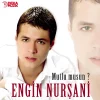 Engin Nurşani - Mutlu Musun? (Plak)