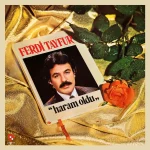 Ferdi Tayfur - Haram Oldu (Plak)