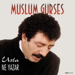 Müslüm Gürses - Usta Ne Yazar (Plak)