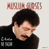 Müslüm Gürses - Usta Ne Yazar (Plak)