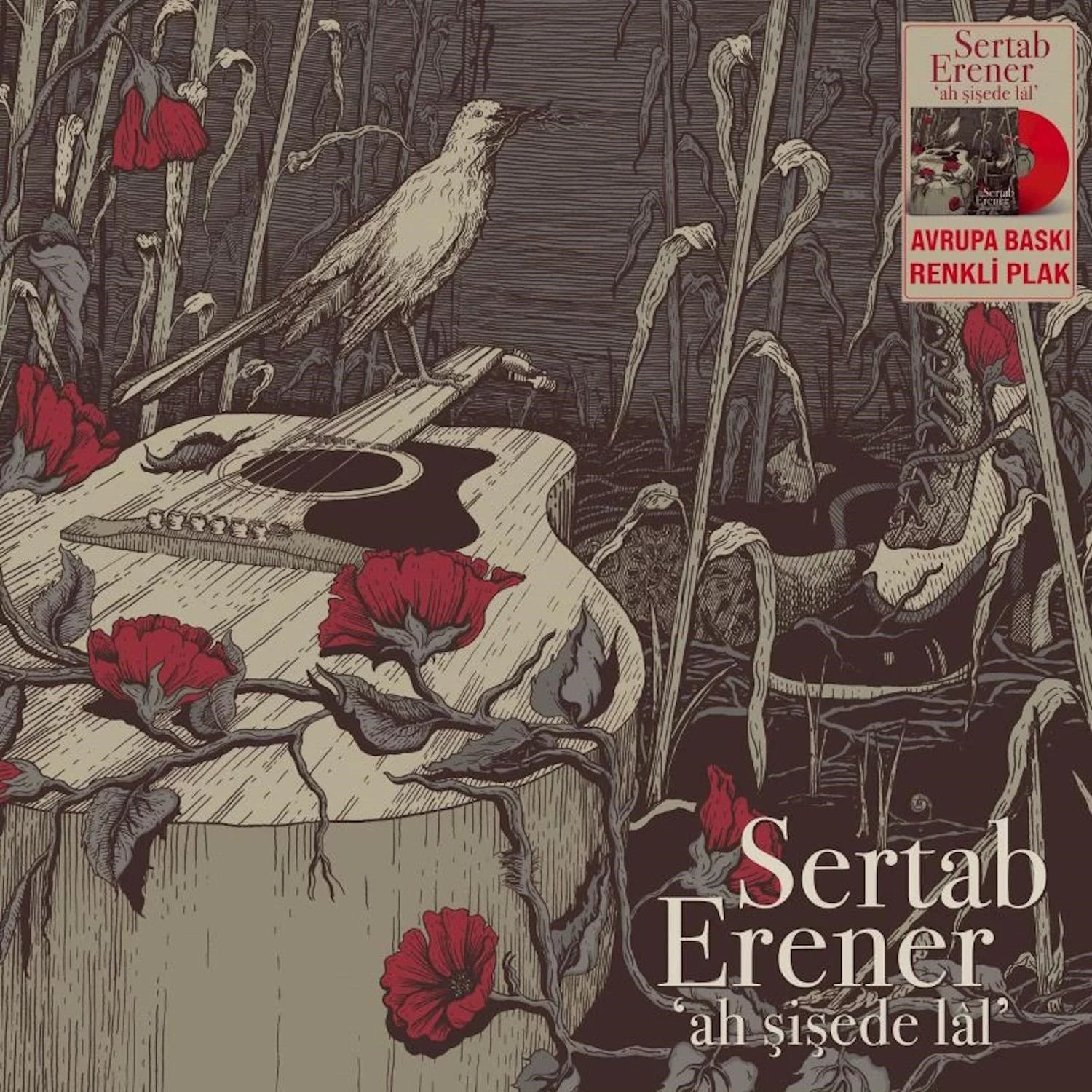 sertab-erener-ah-sisede-lal-renkli-plak Sertab Erener - Ah Şişede Lal (Renkli Plak) - Görsel 1