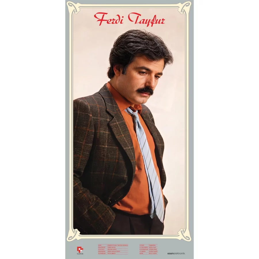 Ferdi Tayfur - İçimde Bir His Var / Ya Benimsin Ya Toprağın (Plak) - Görsel 3