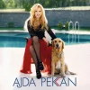 Ajda Pekkan – Eğlen Güzelim (Plak)