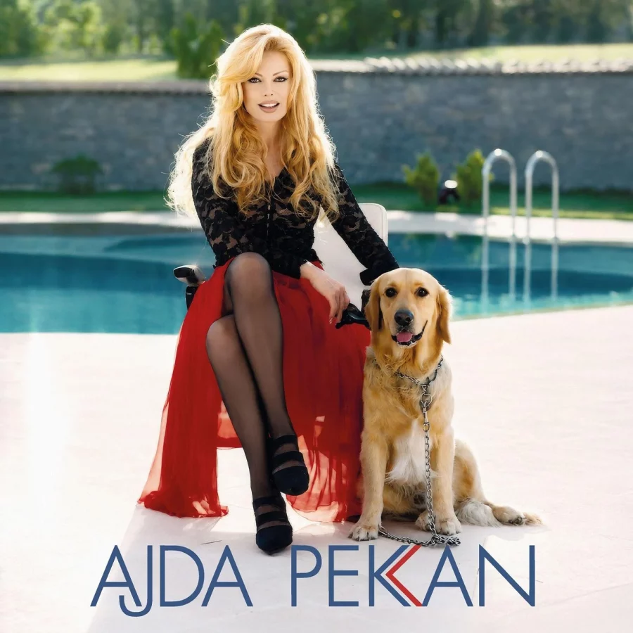 Ajda Pekkan – Eğlen Güzelim (Plak)