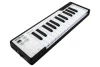 Arturia MicroLab 25 Tuş Taşınabilir MIDI Klavye Siyah