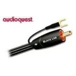 AudioQuest Black Lab Subwoofer Kablosu 3 m