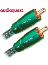 AudioQuest Chicago RCA Kablo 3 m