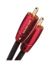 AudioQuest Golden Gate RCA Kablo 2 m