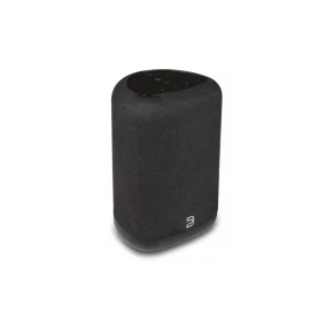 Bluesound Pulse Flex P130 Kablosuz Akış Hoparlörü
