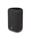 Bluesound Pulse Flex P130 Kablosuz Akış Hoparlörü