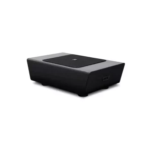Bluesound Pulse Sub+ Kablosuz Network Subwoofer