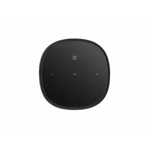 Bowers & Wilkins Formation Flex Kablosuz Multiroom Hoparlör (Tek)