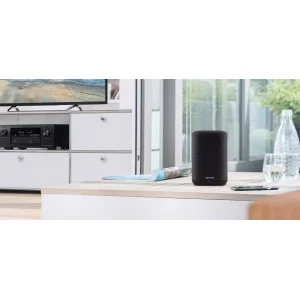 Denon Home 150 Wi-Fi Network Hoparlör Siyah