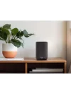 Denon Home 150NV Wi-Fi Network Hoparlör Siyah