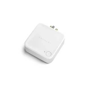 Devialet Arch Phono Katı ve Kablosuz Bağlantı Modülü