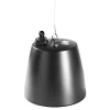 Electro-Voice EVID-P6.2B 6.5 inç Sarkıt Tavan Hoparlörü Siyah (Tek)