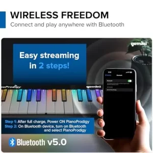 Gemini GPP-101 24 Tuş Bluetooth MIDI Klavye