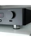 IsoAcoustics OREA Graphite İzolasyon Ayağı (1 Adet)