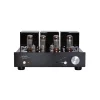 Line Magnetic LM-34IA Lambalı Entegre Amfi