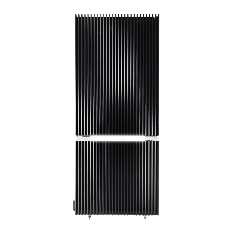Naim Statement NAP S1 Mono Power Amfi (Adet)