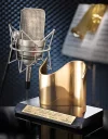 Neumann TLM 49 Set Condenser Vokal Mikrofonu
