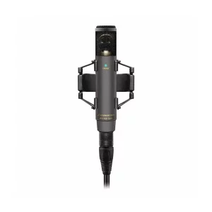 Sennheiser MKH 800 TWIN Çift Çıkışlı Stüdyo Condenser Mikrofon