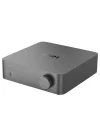 WiiM Vibelink DAC'lı Entegre Amfi