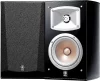 Yamaha WXA-50 ve NS-333 Stereo Müzik Sistemi Paketi